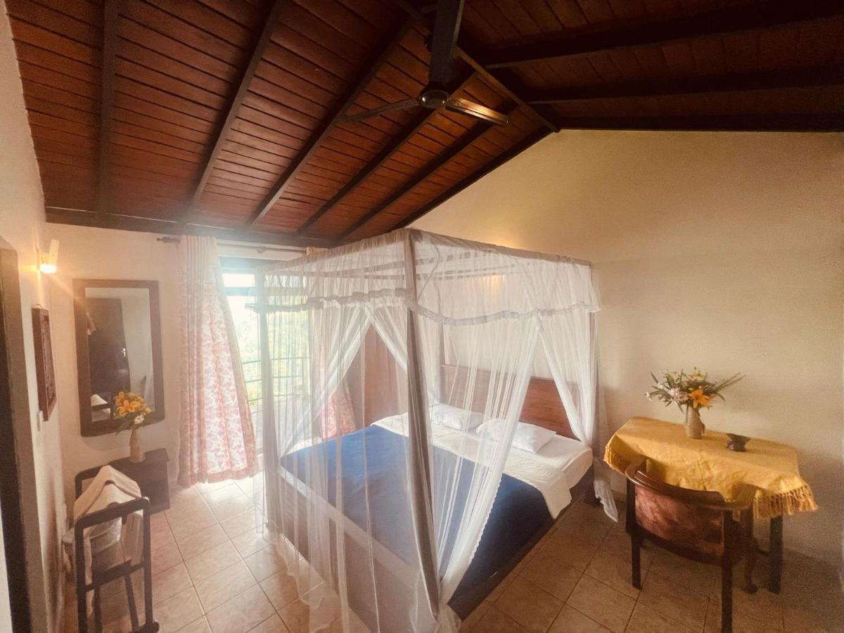 Ambiente Guest House Ella Ngoại thất bức ảnh