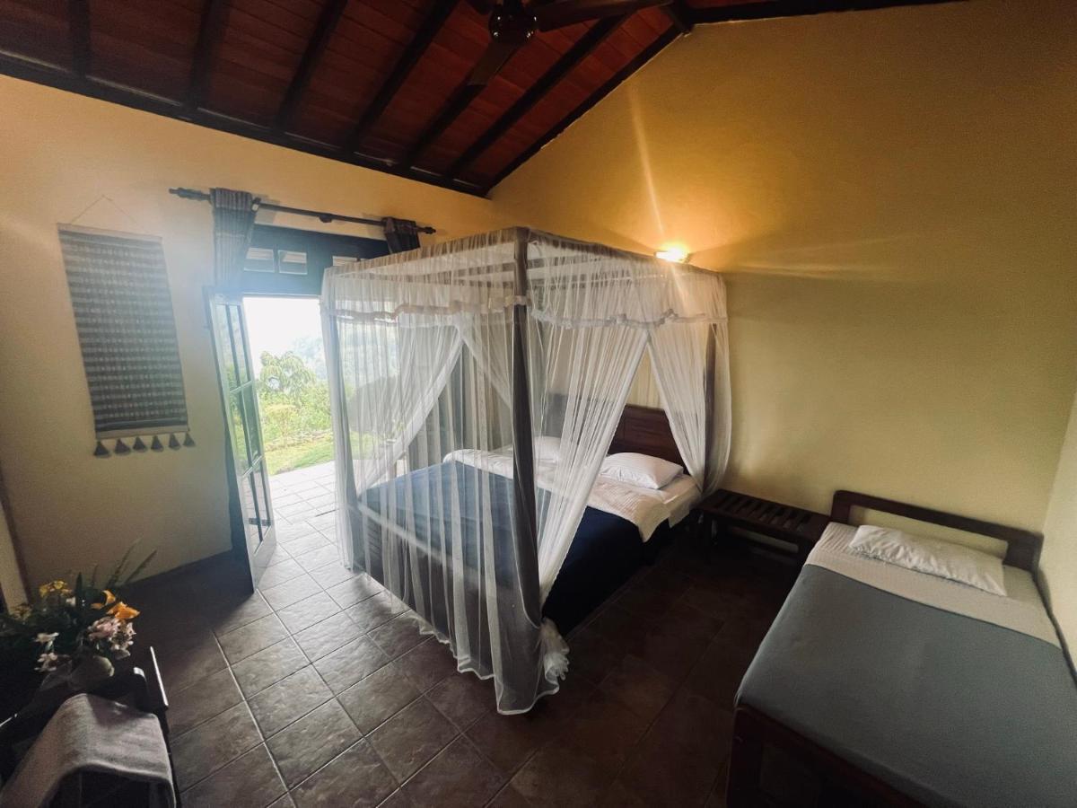 Ambiente Guest House Ella Ngoại thất bức ảnh